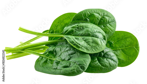 Close-up of fresh, vibrant, green spinach leaves, cut out against a black background