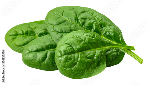Close-up of several vibrant, fresh green spinach leaves, isolated against a black background