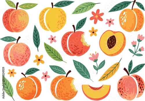 Create Set of colorful brush drawn peaches or apricots with leaves. Hand drawn funky naive fruit illustrations for collages, graphic design, posters, cards. Vector peaches and apricots with rough text