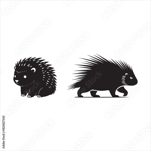Stylized porcupine illustrations: cute sitting and walking adult