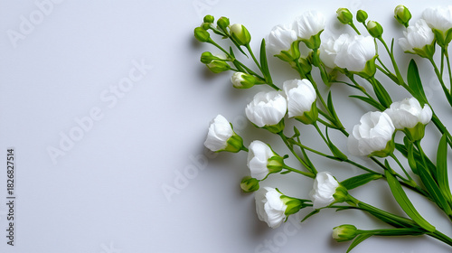 Minimal Botanical Frame wit...