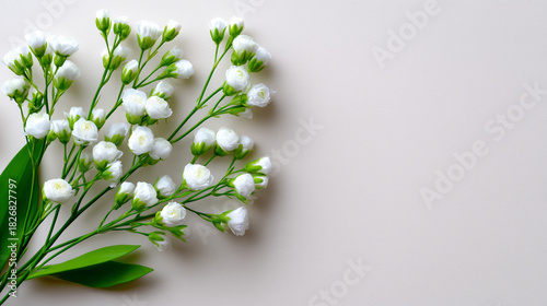 Minimal Botanical Frame wit...