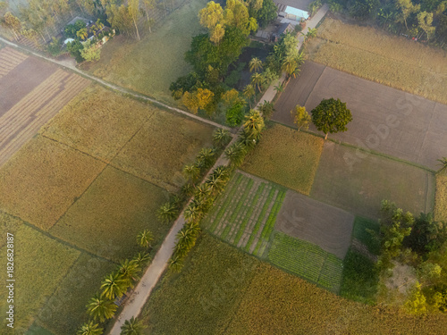 High Angle View of Rural Development and Natural Beauty Coexisting