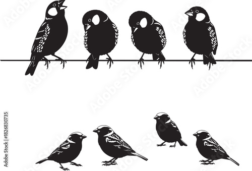 Seven birds silhouette illustration on a wire and ground