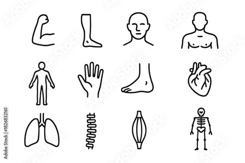 Human Anatomy Icons. Human Anatomy Set. Line icon set of Human Anatomy Set: arms, legs, head, torso, human silhouette, hand, foot, heart, lungs, spine,