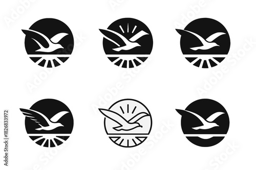 Seagulls Logo Variations. Seagulls flying. Icon set. Set Logo of seagulls flying: Seagull soaring with sunlight. harmonious logo variations of the same