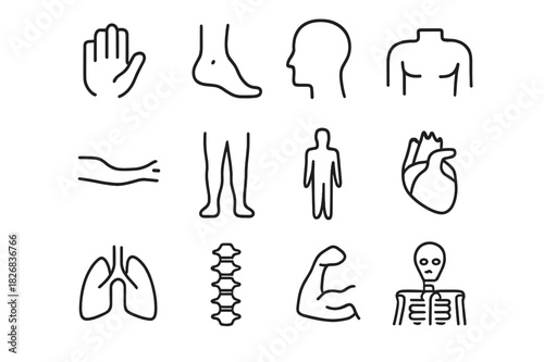 Body Parts Icons. Body Parts Icons. Line icon set of Body Parts Icons: hand, foot, head, torso, arms, legs, human silhouette, heart, lungs, spine, muscles,