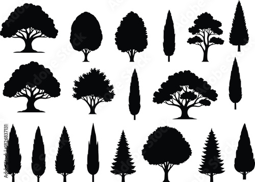 Set of various tree silhouettes, vector collection with different species, shapes and sizes, deciduous and 