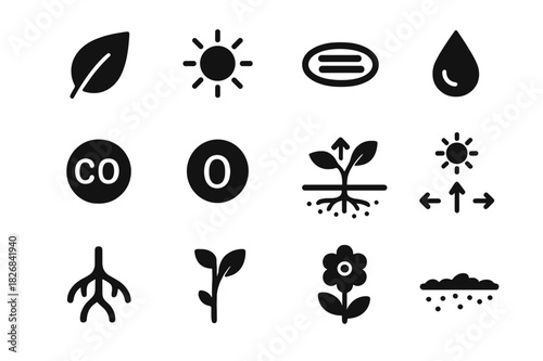 Photosynthesis Diagram Icons. Photosynthesis diagram. Solid icon set of Photosynthesis diagram: leaf, sun, chloroplast, water droplet, carbon dioxide, oxygen,