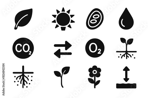 Photosynthesis Diagram Icons. Photosynthesis diagram. Solid icon set of Photosynthesis diagram: leaf, sun, chloroplast, water droplet, carbon dioxide, oxygen,