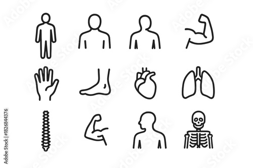 Human Silhouette Icon Set. Human Silhouette Icons. Line icon set of Human Silhouette Icons: human silhouette, torso, head, arms, legs, hand, foot, heart,