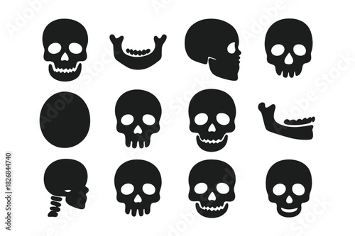 Anatomy Skull Icons. Anatomy skull. Solid icon set of anatomy skull: human skull, jawbone, side profile, skull base, cranium, eye sockets, nasal cavity, teeth,