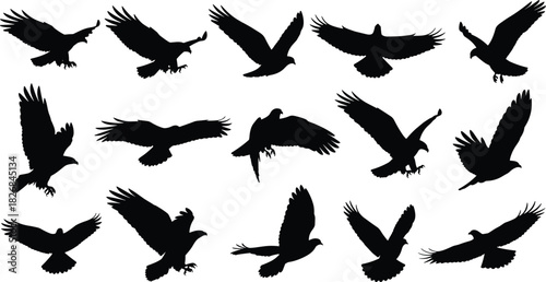 Eagle silhouettes vector set flying soaring hunting, stylized birds of prey shapes, black hawk falcon icons collection for majestic nature logo design, isolated on white ba