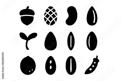 Black Seed Icons. Seed types. Solid icon set of Seed types: acorn, pine seed, bean, sunflower seed, maple seed, corn kernel, wheat grain, rice grain, coconut,