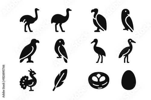 African Birds Icons. Birds of Africa. Solid icon set of Birds of Africa: ostrich, rhea, emu, vulture, eagle, parrot, crane, stork, peacock, feathers, nest,