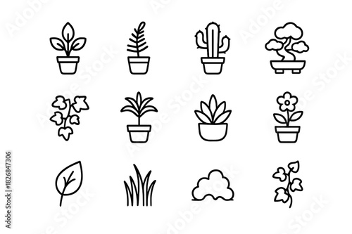 Indoor Plant Icons. Indoor plants. Line icon set of Indoor plants: potted plant, fern, cactus, bonsai, ivy, palm, succulent, flowering plant, moss, leaf,