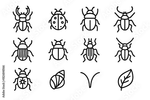 Beetle Line Icons. Beetles. Line icon set of beetles: stag beetle, ladybug, scarab, rhinoceros beetle, weevil, leaf beetle, ground beetle, longhorn beetle,