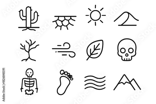 Desertification Icon Set. Desertification. Line icon set of desertification: cactus, cracked soil, sun, dune, dead tree, dust wind, dry leaf, skeleton, skull,