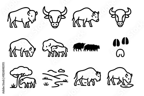 Buffalo Herd Icons. Buffalo Herd. Line icon set of Buffalo Herd: standing buffalo, buffalo head, walking buffalo, buffalo with horns, grazing buffalo, buffalo