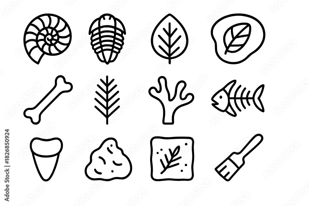 Fototapeta premium Fossil Icon Collection. Fossil finds. Line icon set of fossil finds: ammonite, trilobite, leaf imprint, shell cast, dinosaur bone, fern frond, coral, fish
