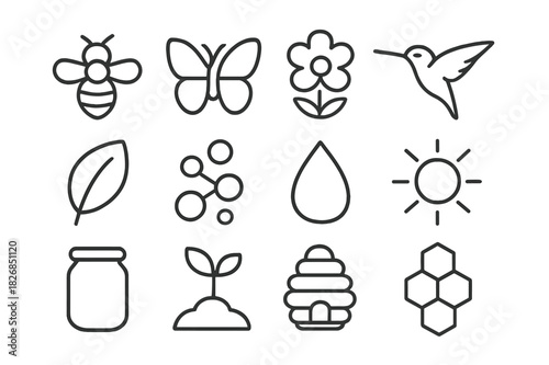 Pollinator Vector Icons. Pollinators. Line icon set of pollinators: bee, butterfly, flower, hummingbird, leaf, pollen, droplet, sun, jar, plant,
