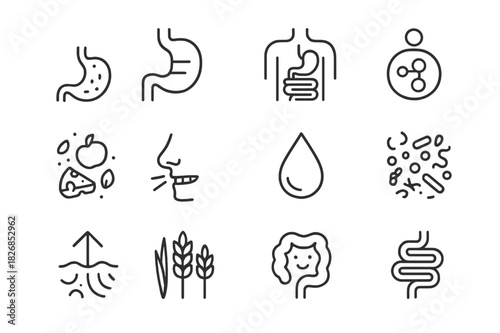 Digestive System Icons. Food Digestion. Line icon set of Food Digestion: stomach, intestines, digestive system diagram, enzyme symbol, food breaking down,