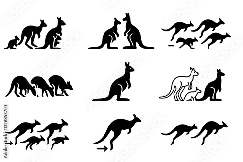 Kangaroo Icons Set. Kangaroo group. Solid icon set of Kangaroo group: mob of kangaroos, adult and joey, social interaction, hopping sequence, grazing group,
