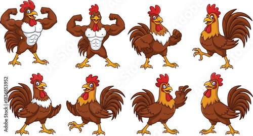 Set of eight cartoon rooster or chicken mascot characters in various poses, including muscular and regular versions, dynamic vector illustration collection for logos.