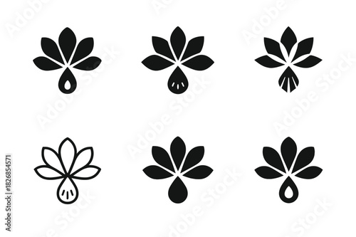 Flower Petal Logos. Function of flower petals. Icon set. Set Logo of flower petal function: radiating petals with nectar guide. harmonious logo variations of