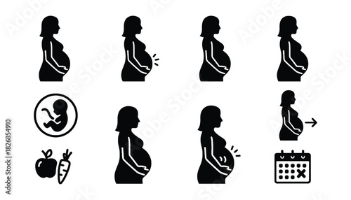 Pregnancy stages vector illustration for health and wellness