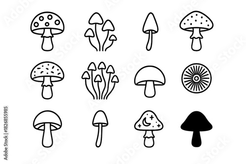 Psychedelic Mushroom Icons. Psychedelic Mushrooms. Line icon set of Psychedelic Mushrooms: fly agaric, psilocybe, liberty cap, amanita, panther cap,
