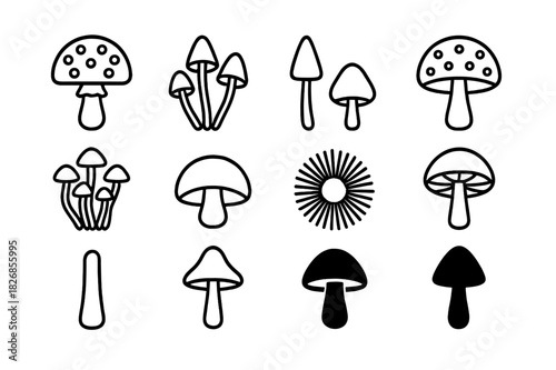 Psychedelic Mushroom Icons. Psychedelic Mushrooms. Line icon set of Psychedelic Mushrooms: fly agaric, psilocybe, liberty cap, amanita, panther cap,