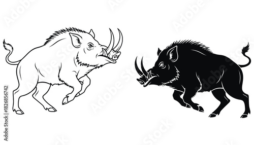 Boar vector illustration wild hog tusk outline black and white