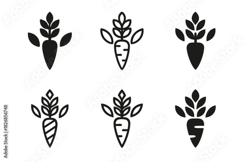 Raw Logo Variations. Raw. Icon set. Set Logo of raw: fresh harvest elements. harmonious logo variations of the same emblematic concept, each with different