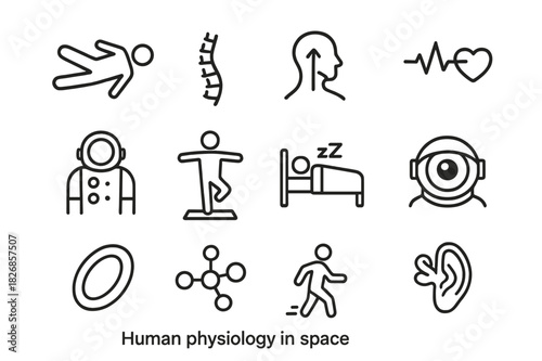 Space Physiology Icons. Human physiology in space. Line icon set of human physiology in space: floating human body, spinal curve, fluid shift, heart rate,