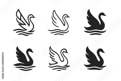 Swan Logo Variations. Swans. Icon set. Set Logo of swans: swan gracefully lifting off from water surface. harmonious logo variations of the same emblematic