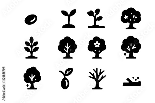 Tree Life Cycle Icons. Tree life cycle. Solid icon set of Tree life cycle: seed, germination, sprout, seedling, sapling, mature tree, flowering, fruit, seed