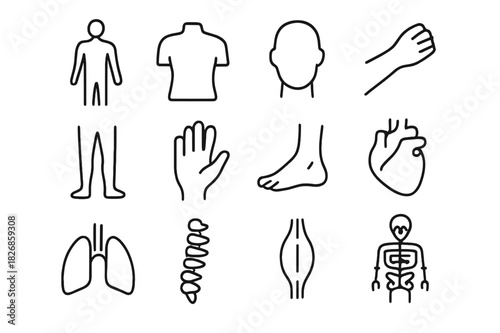 Body Outline Icons. Body. Line icon set of Body: human silhouette, torso, head, arms, legs, hand, foot, heart, lungs, spine, muscles, skeleton. All outline