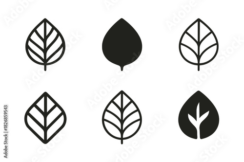 Nature-Inspired Logo Variations. Graphic design trends nature inspired design. Icon set. Set Logo of nature inspired design: leaf veins abstract motif.
