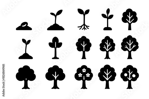 Tree Growth Icons. Tree growth stages. Solid icon set of Tree growth stages: planted seed, sprout, root system, stem growth, leaf bud, sapling, young tree,