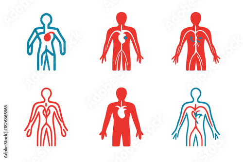 Anatomy Logo Variations. Human anatomy. Icon set. Set Logo of human anatomy: circulatory system with veins and arteries. harmonious logo variations of the same