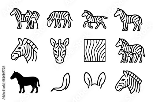 Zebra Icon Line Art. Zebra Herd Icons. Line icon set of Zebra Herd Icons: zebra herd, grazing zebra, running zebra, standing zebra, zebra head, zebra face