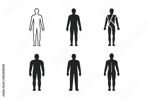 Human Anatomy Logos. Human anatomy. Icon set. Set Logo of human anatomy: full human body silhouette. harmonious logo variations of the same emblematic concept,