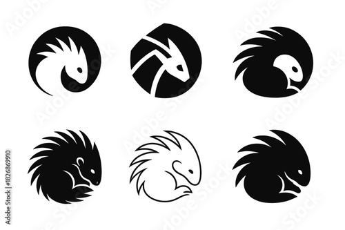 Porcupine Logo Variations. Porcupine. Icon set. Set Logo of porcupine: Porcupine curled into ball. harmonious logo variations of the same emblematic concept,