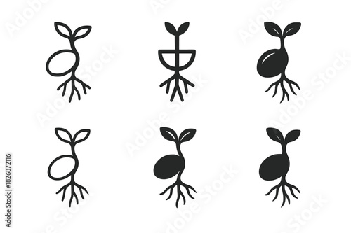 Seed Growth Icons. How seeds germinate. Icon set. Set Logo of How seeds germinate: radicle branching into roots. harmonious logo variations of the same