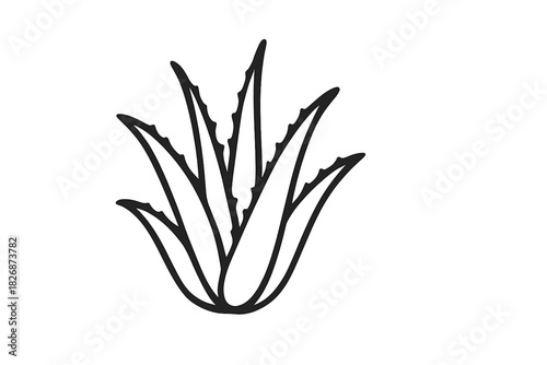 Minimalist black line art of an aloe vera succulent plant for natural health and beauty