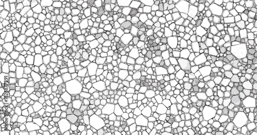 Fondo abstracto de células interconectadas en patrón geométrico blanco y negro para diseño gráfico.