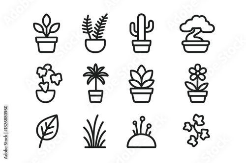 Indoor Plant Icons. Indoor plants. Line icon set of Indoor plants: potted plant, fern, cactus, bonsai, ivy, palm, succulent, flowering plant, moss, leaf,
