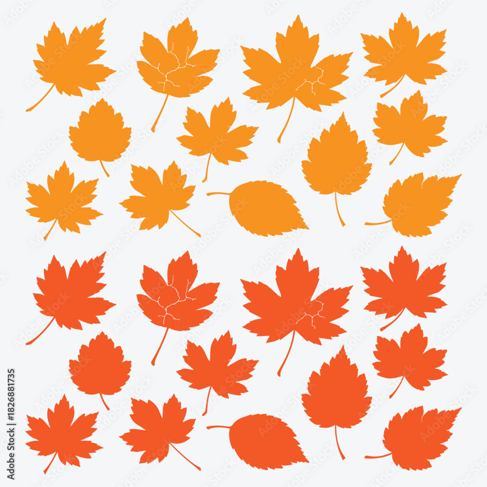 Fototapeta premium Autumn leaves vector collection for seasonal fall backgrounds