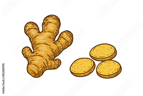 Aromatic ginger root and three round slices for culinary and herbal use